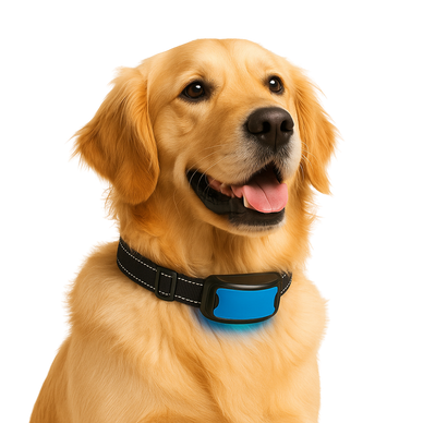 Transform Time With Them Into Stress-Free Moments